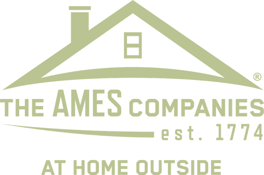 Symes Bains Broomer Solicitors